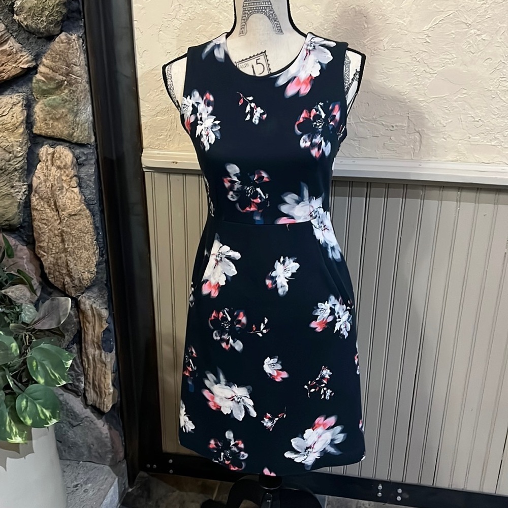 Lands’End Dress